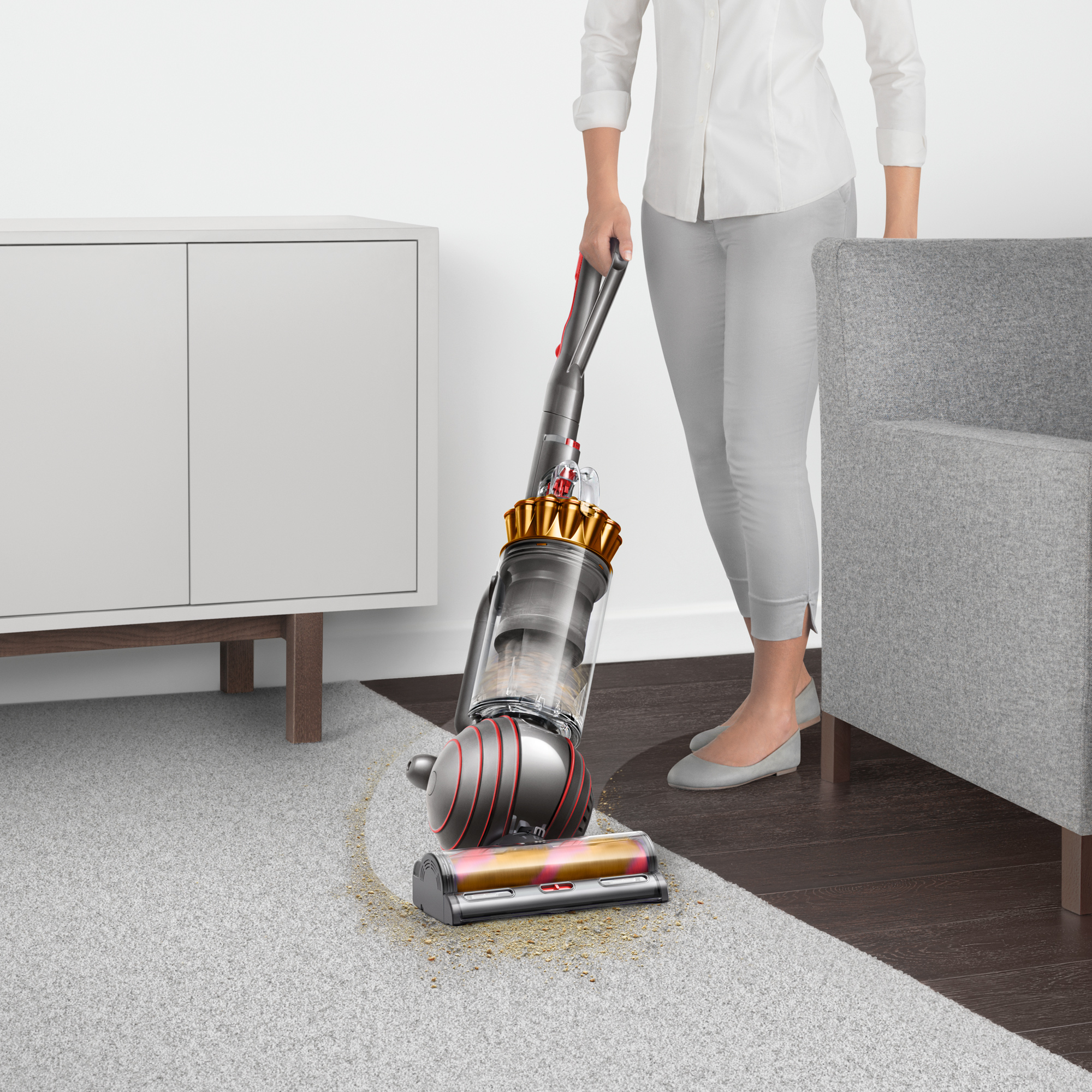 Dyson Ball Animal 3 Complete Upright Vacuum | Gold | New
